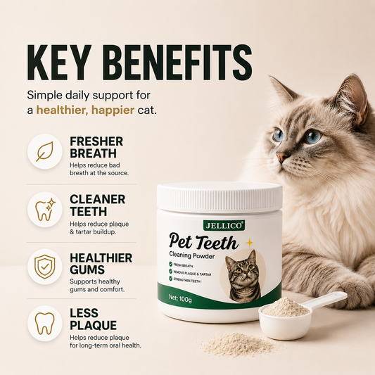 Jellico™ Cat Dental Powder