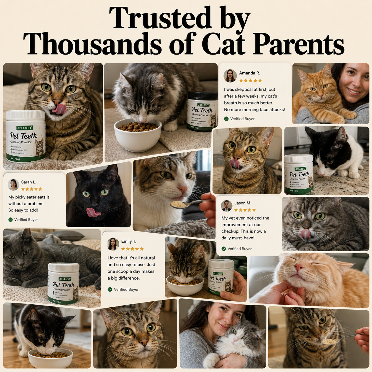 Jellico™ Cat Dental Powder