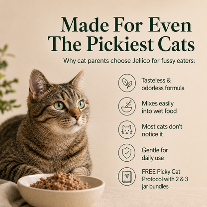 Protect Your Cat's Teeth at Home In Seconds a Day