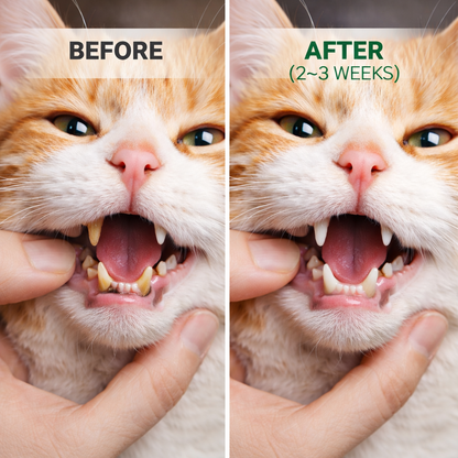 Jellico™ Cat Dental Powder