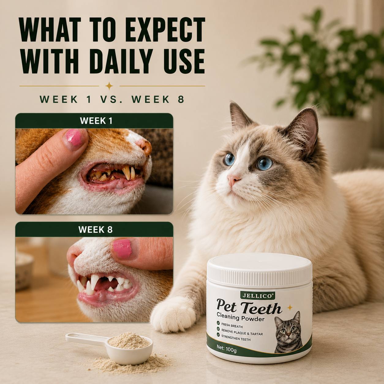 Jellico™ Cat Dental Powder