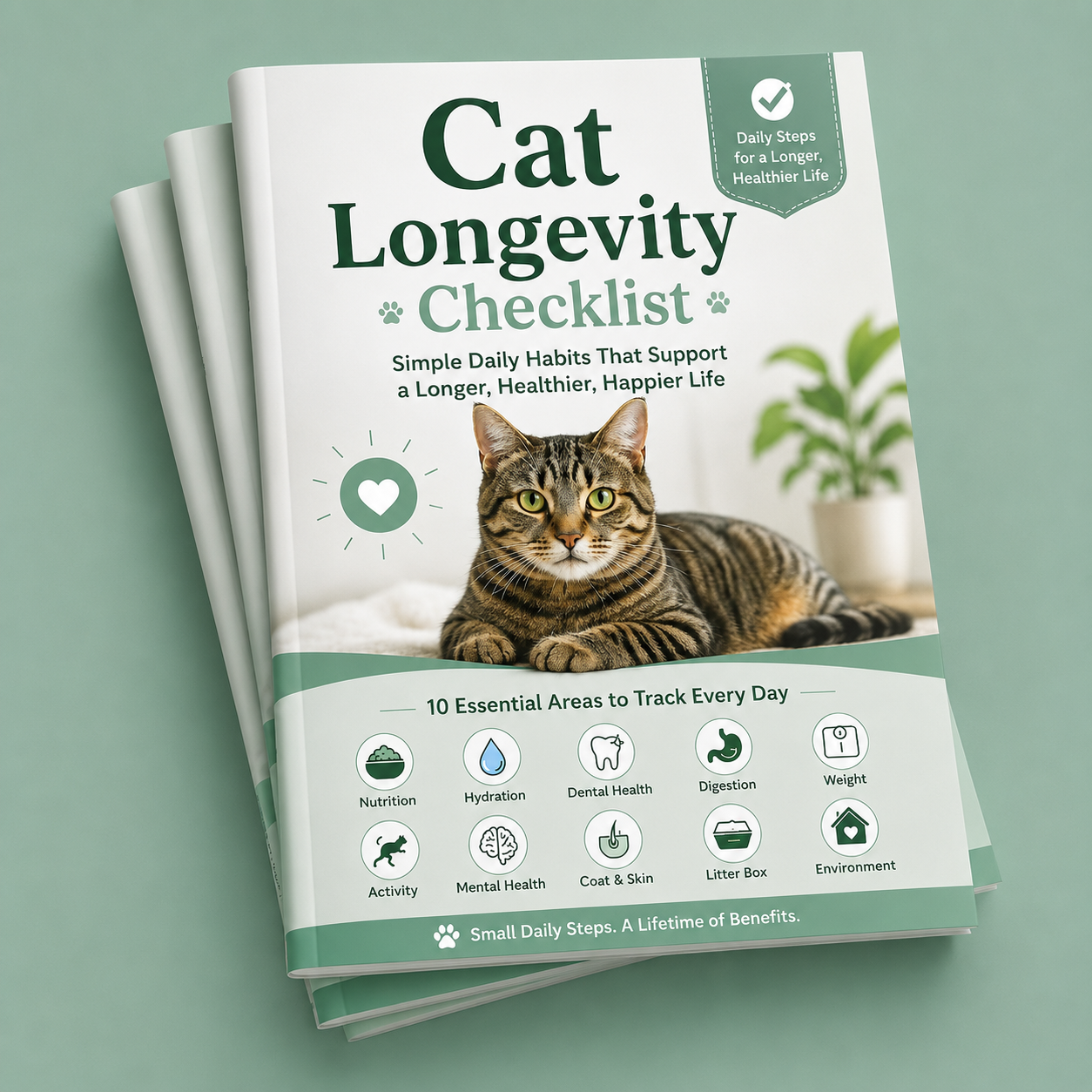 Cat Longevity Checklist