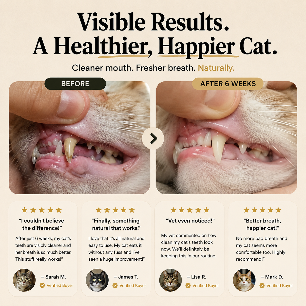 Jellico™ Cat Dental Powder