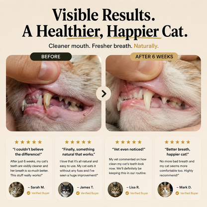 Jellico™ Cat Dental Powder