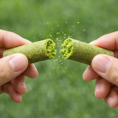 Cat Grass Chewing Sticks