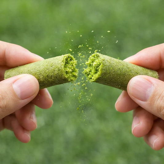 Cat Grass Chewing Sticks