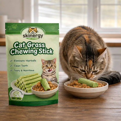 Cat Grass Chewing Sticks
