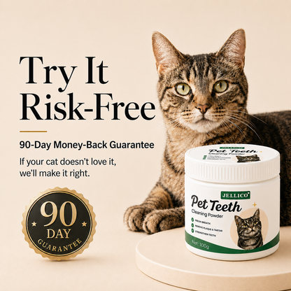 Protect Your Cat's Teeth at Home In Seconds a Day