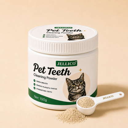 Protect Your Cat's Teeth at Home In Seconds a Day