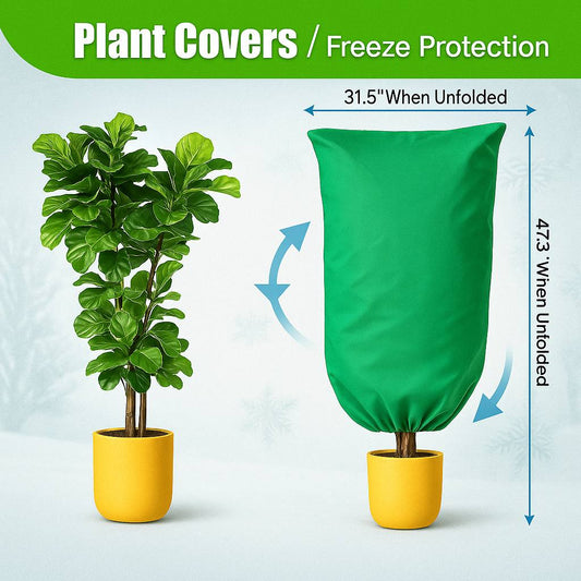 Plant Winter Covers